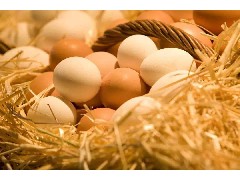 蔬菜配送公司​检验鸡蛋的方法和食材保存要求