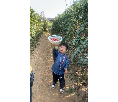 自产场地