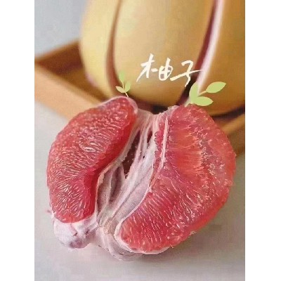 新鲜水果