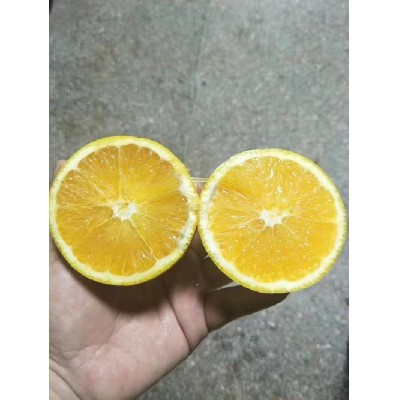新鲜水果