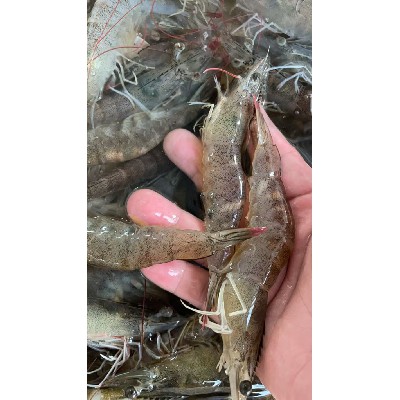肉类配送
