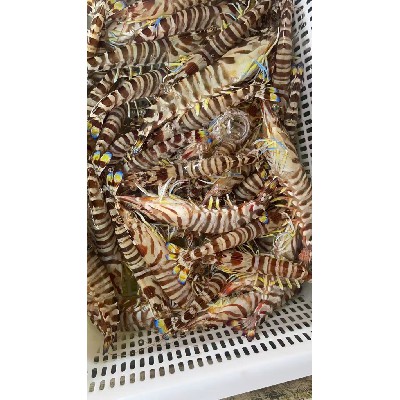 肉类配送