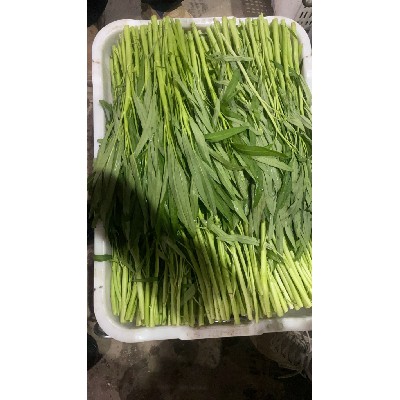 蔬菜配送