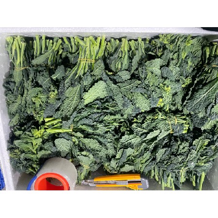 蔬菜配送